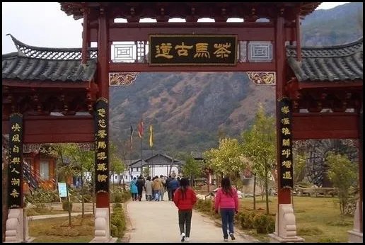 西双版纳十大必去景点有哪些？能不能具体说说？