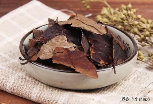 兽用四季青的功效是什么?