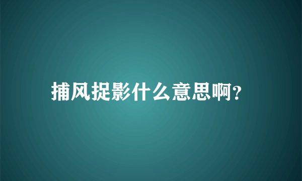 捕风捉影什么意思啊？