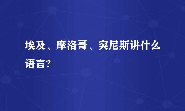 埃及、摩洛哥、突尼斯讲什么语言?