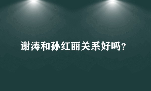 谢涛和孙红丽关系好吗？
