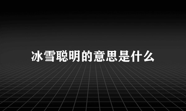 冰雪聪明的意思是什么