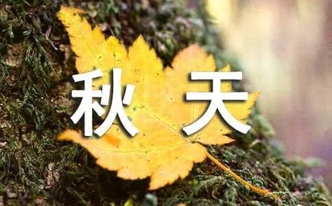 写作表示秋天的成语