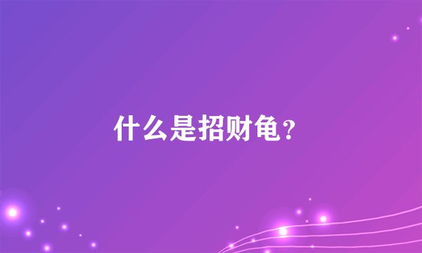 什么是招财龟?
