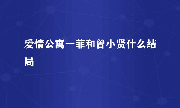 爱情公寓一菲和曾小贤什么结局