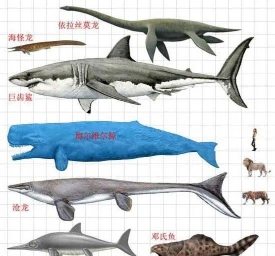 生物界第六次生物大灭绝会在什么时候发生，什么生物会灭绝？