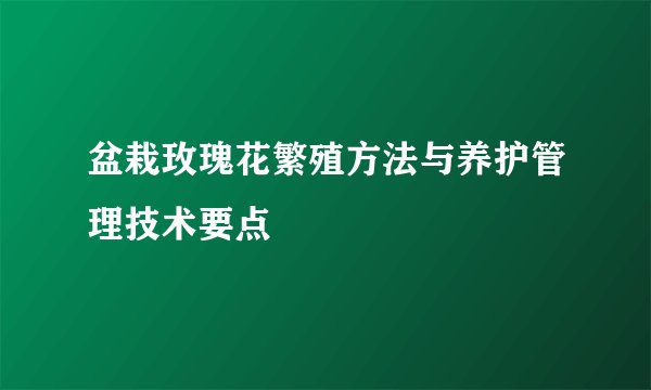 盆栽玫瑰花繁殖方法与养护管理技术要点