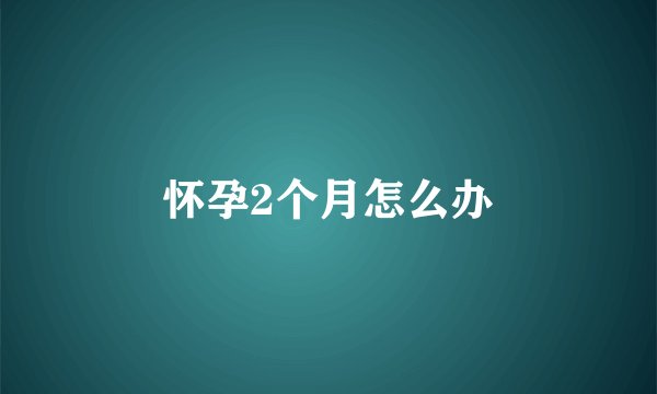 怀孕2个月怎么办