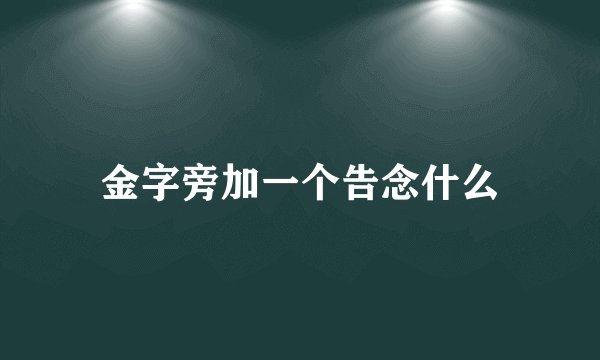 金字旁加一个告念什么