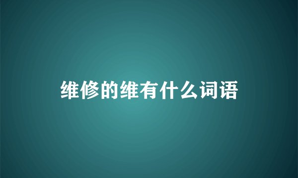 维修的维有什么词语