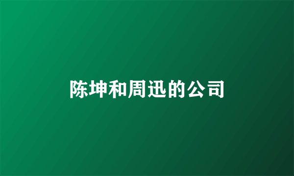 陈坤和周迅的公司
