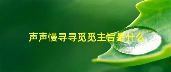 声声慢寻寻觅觅主旨是什么