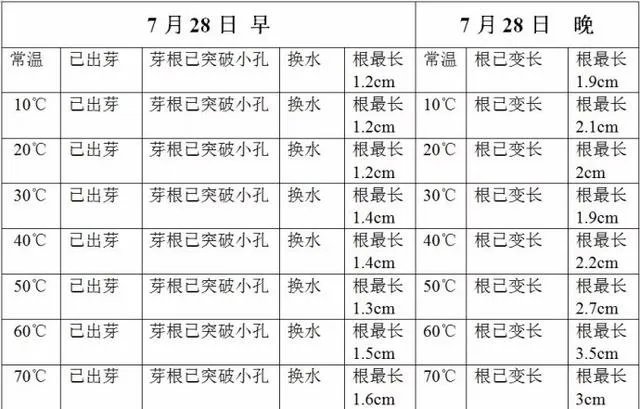 绿豆芽生长情况记录表？