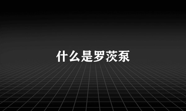 什么是罗茨泵