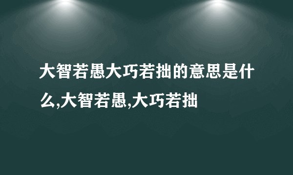 大智若愚大巧若拙的意思是什么,大智若愚,大巧若拙