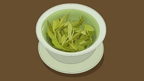 养胃健脾茶最好的是什么茶