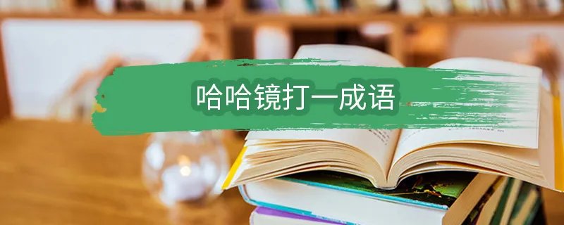 哈哈镜打一成语