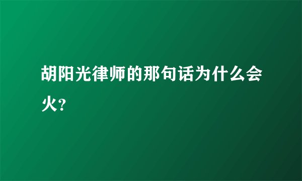 胡阳光律师的那句话为什么会火?