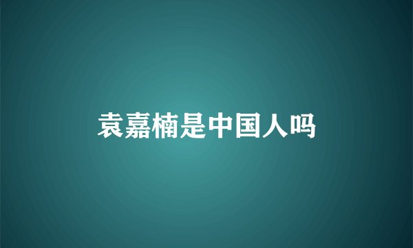 袁嘉楠是中国人吗