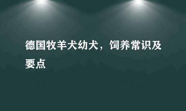 德国牧羊犬幼犬,饲养常识及要点
