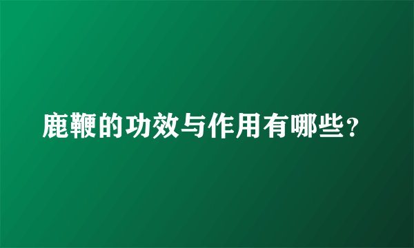 鹿鞭的功效与作用有哪些？
