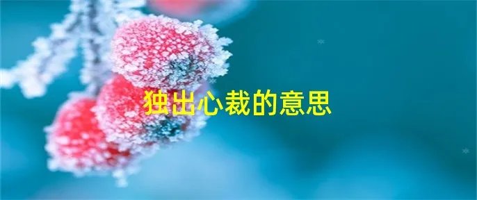 独出心裁的意思