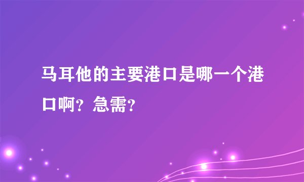 马耳他的主要港口是哪一个港口啊？急需？
