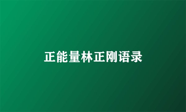 正能量林正刚语录