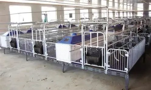 养猪设备生产厂家