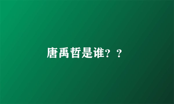 唐禹哲是谁？？