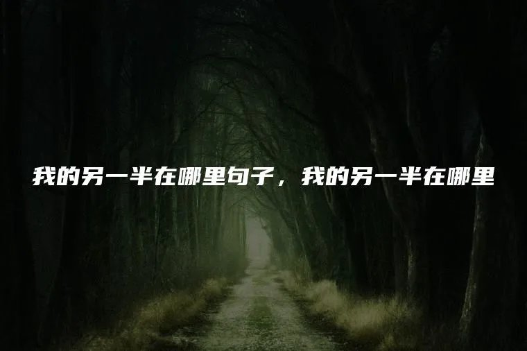 我的另一半在哪里句子，我的另一半在哪里