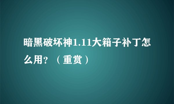 暗黑破坏神1.11大箱子补丁怎么用？（重赏）