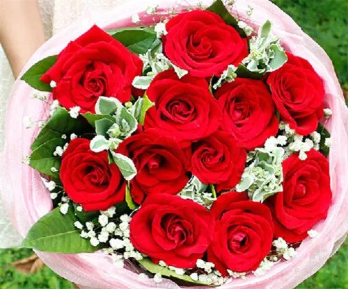 11朵红玫瑰花语是什么 11朵红玫瑰花一般多少钱