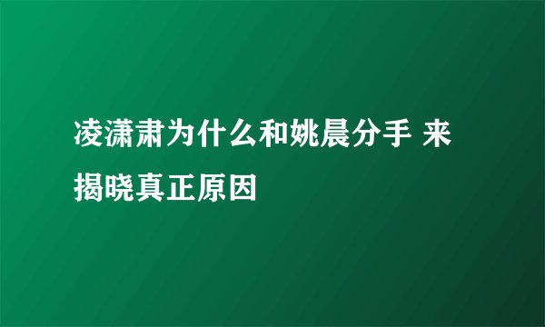 凌潇肃为什么和姚晨分手 来揭晓真正原因