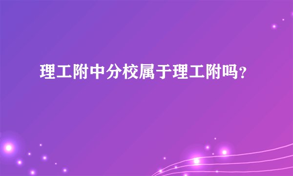 理工附中分校属于理工附吗？