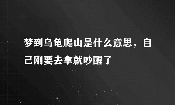 梦到乌龟爬山是什么意思，自己刚要去拿就吵醒了