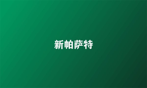 新帕萨特