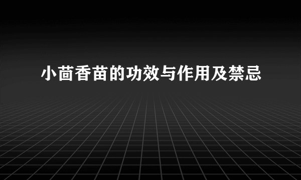 小茴香苗的功效与作用及禁忌