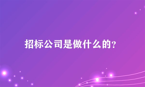 招标公司是做什么的？