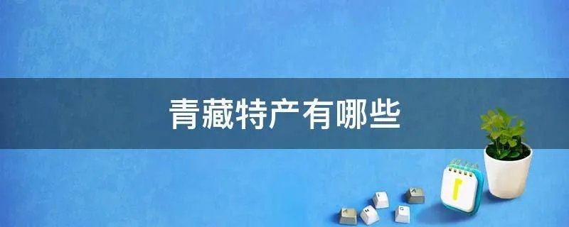 青藏特产有哪些