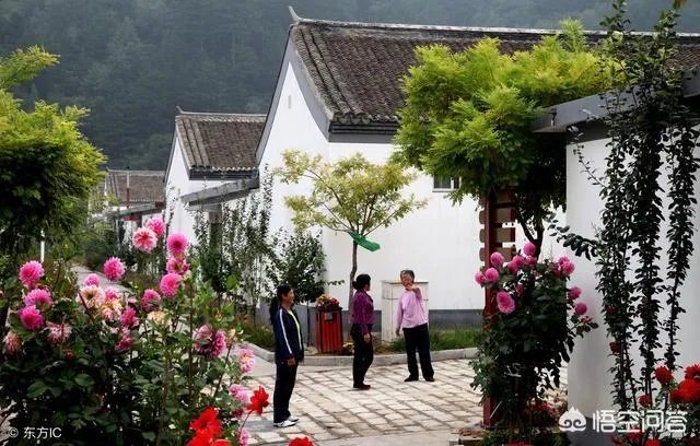 农村老话：一根草一滴露，讲的是什么意思？
