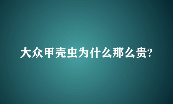 大众甲壳虫为什么那么贵?