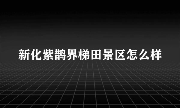 新化紫鹊界梯田景区怎么样