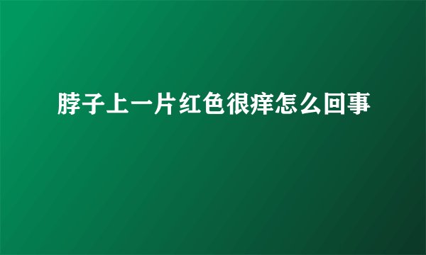 脖子上一片红色很痒怎么回事