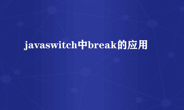 javaswitch中break的应用