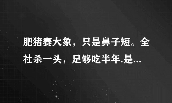 肥猪赛大象，只是鼻子短。全社杀一头，足够吃半年.是什么意思