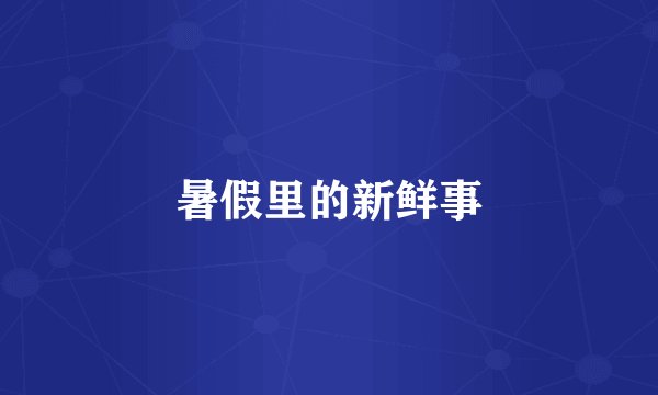 暑假里的新鲜事