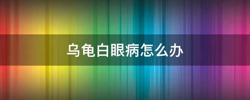 乌龟白眼病怎么办