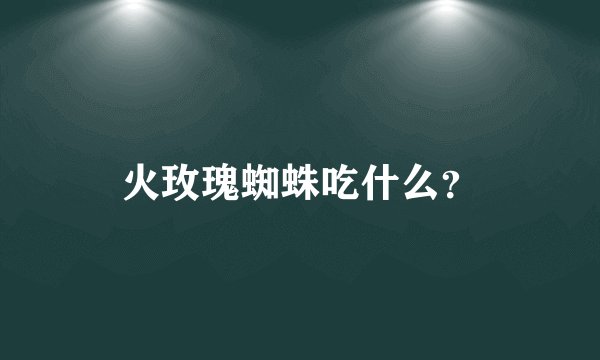 火玫瑰蜘蛛吃什么？