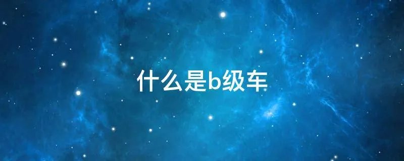 什么是b级车